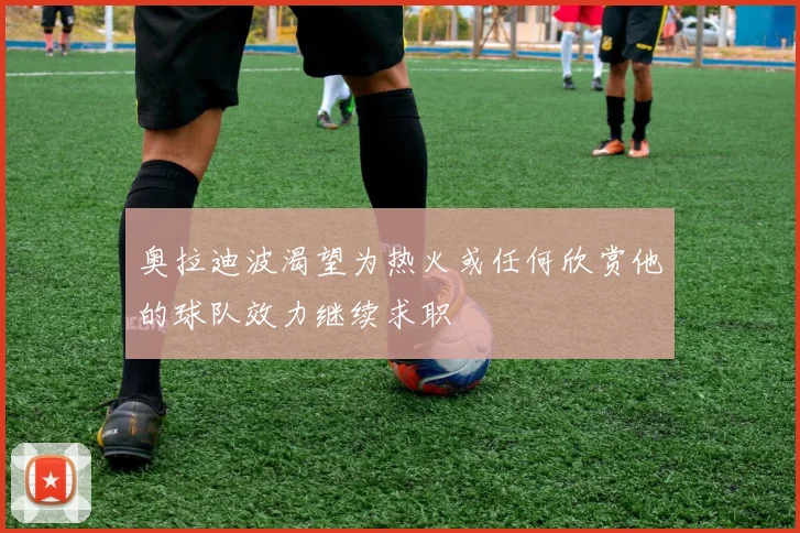奥拉迪波渴望为热火或任何欣赏他的球队效力继续求职