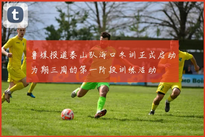 鲁媒报道泰山队海口冬训正式启动为期三周的第一阶段训练活动
